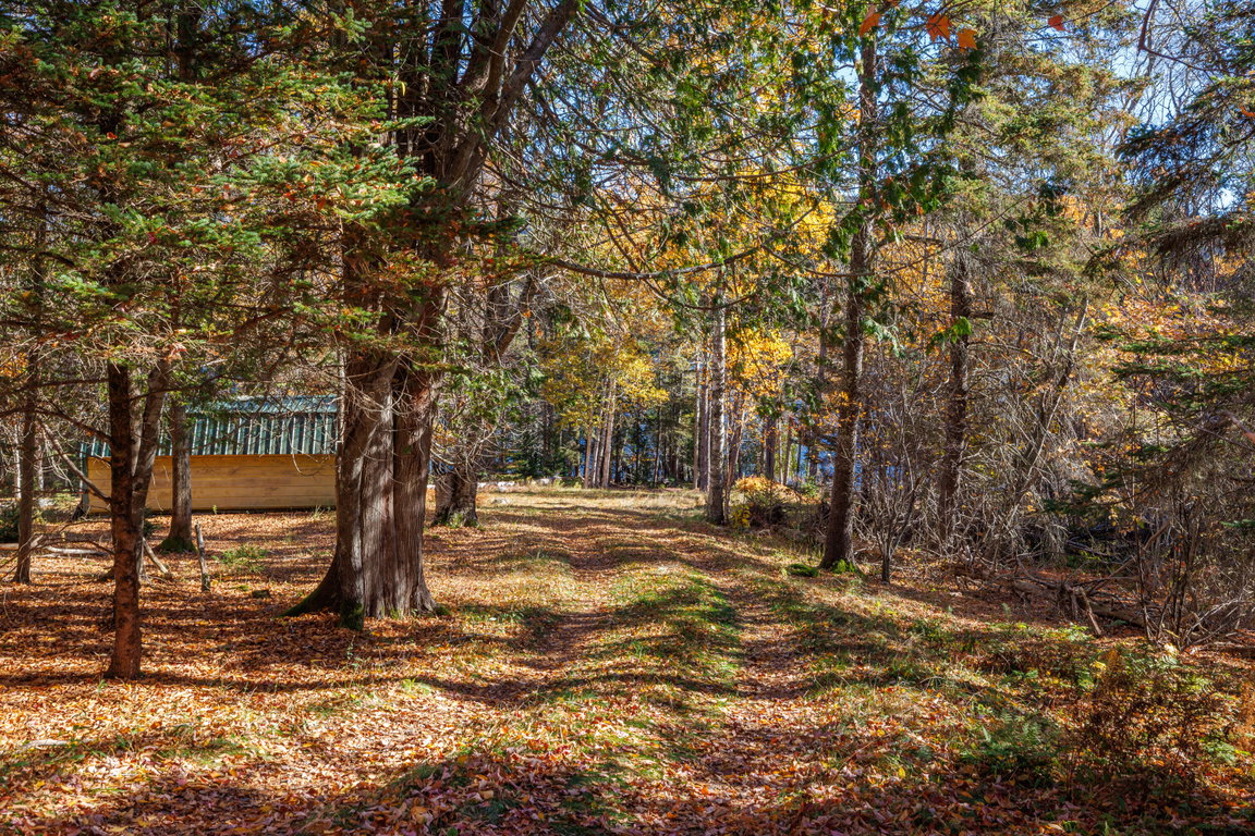 59 - Tremont Road Land - DTP