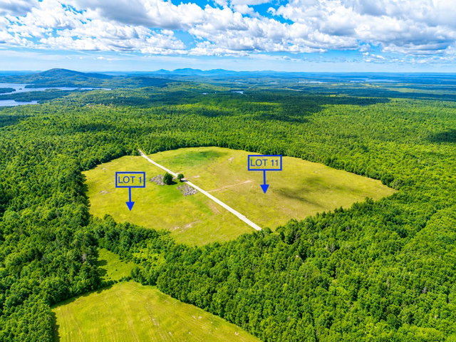 Blueberry fields and Mountain Viewu2019s Of Cadillac Mountain