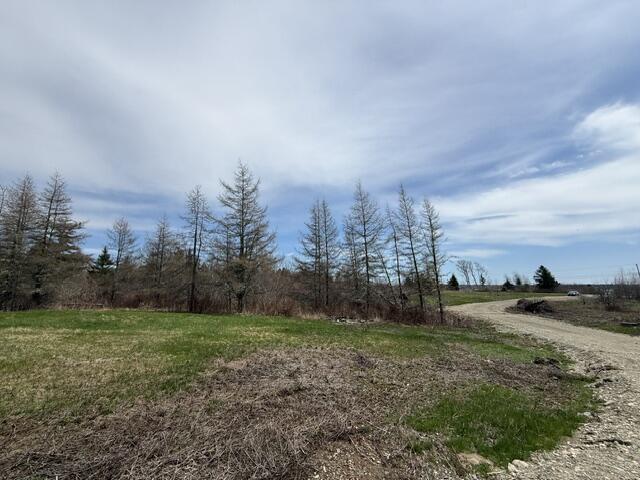 Lot 4 Holmes Bay Farms Road Whiting