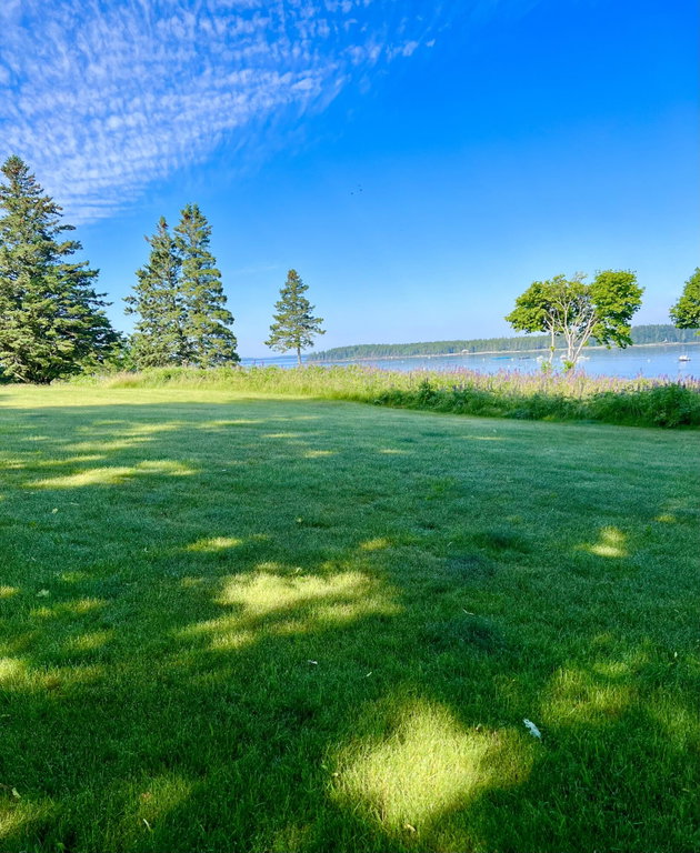 Front lawn