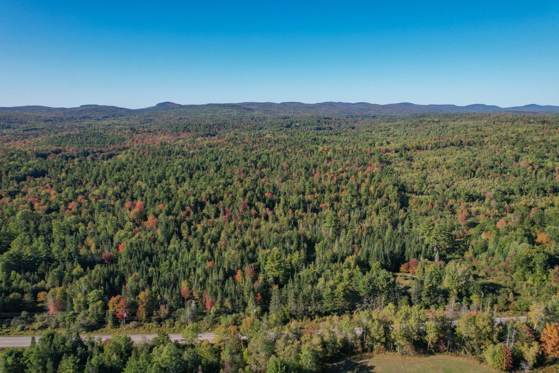 DJI_0559