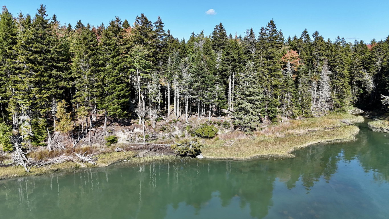 dji_fly_20261003_144358_0380_17912071051