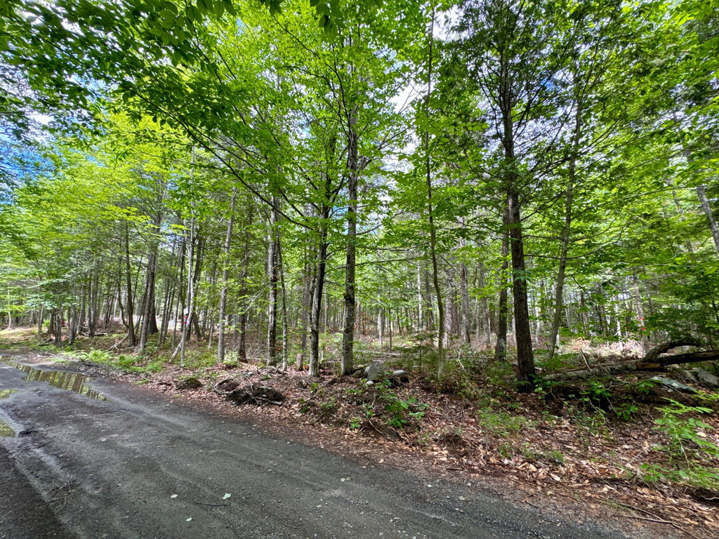 77 Orchard Road Guilford