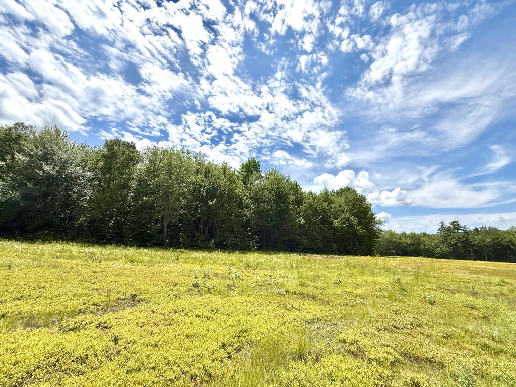 Lot 9