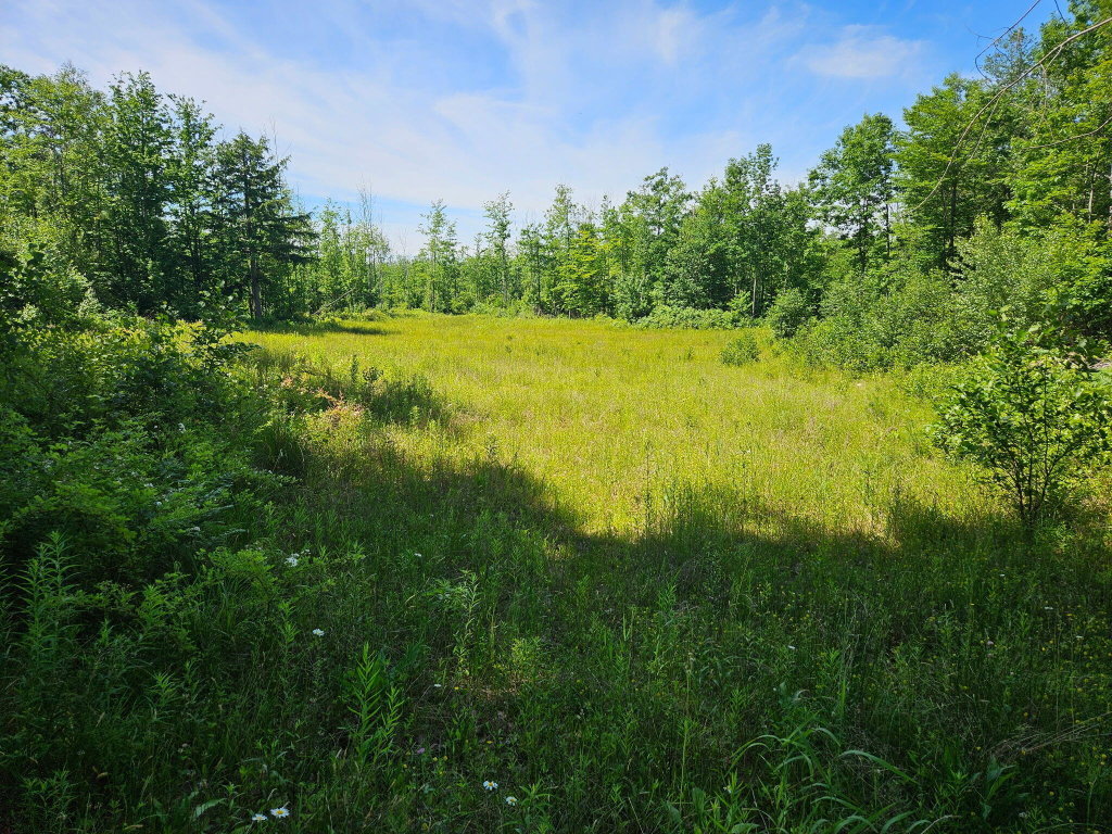 579 Maple Ridge Road Harrison