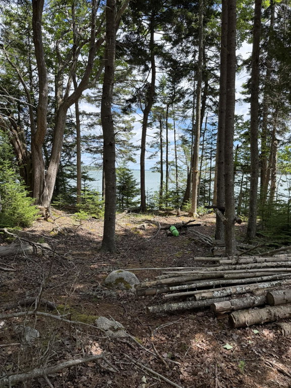 View towards shore