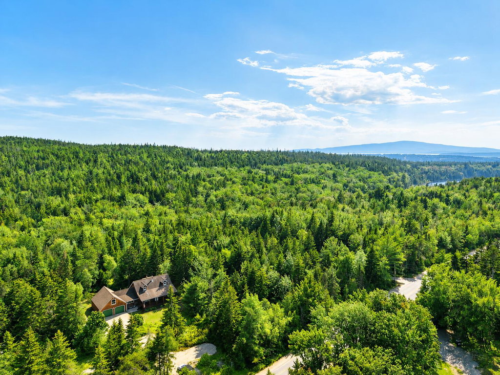 Drone view
