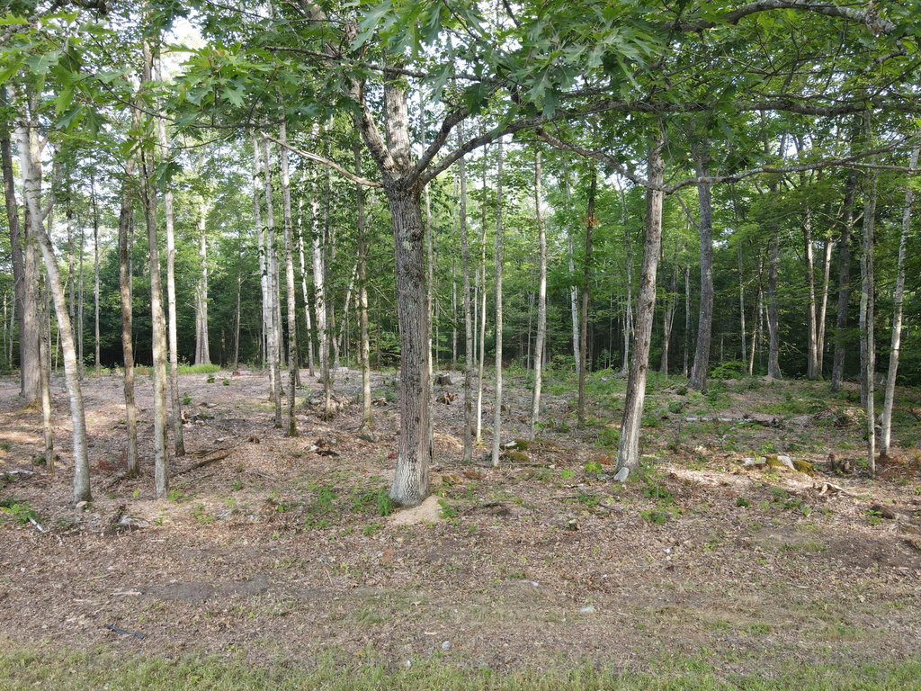 Lot 4 Oak Pond Road Skowhegan