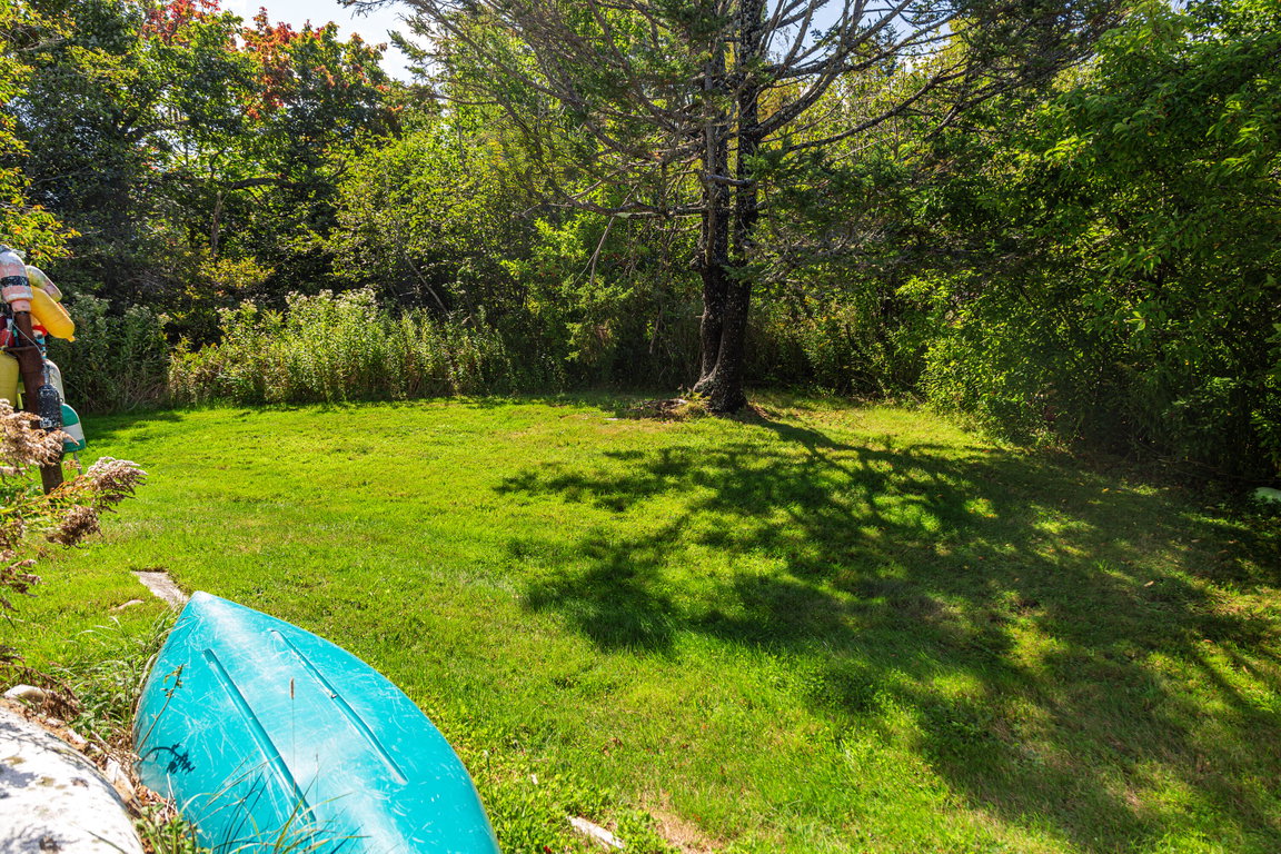 Back yard