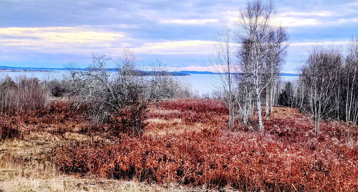 Lot 52 US- Route 1  Robbinston