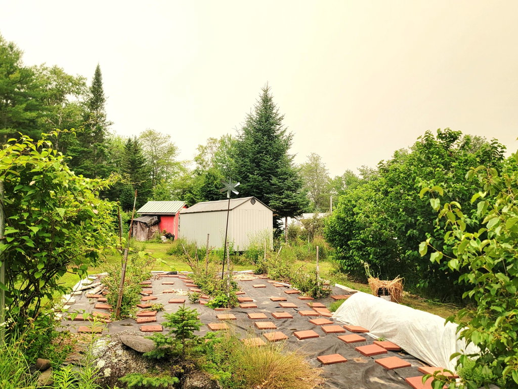 Extensive Gardens