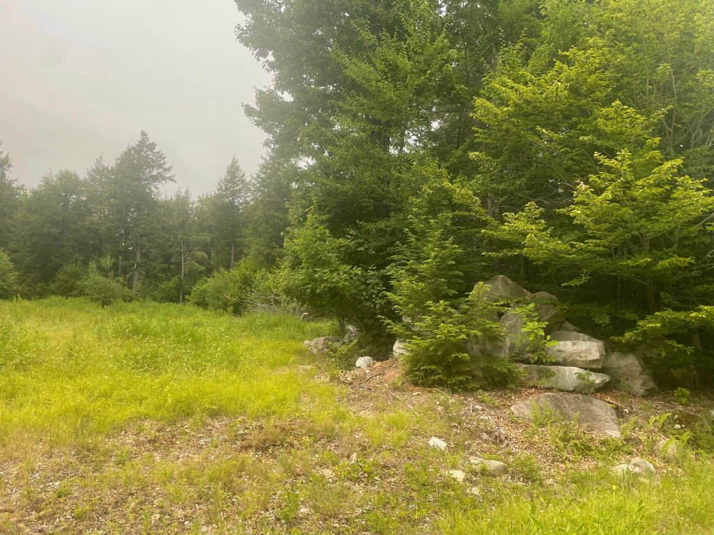 Lot 3A Allen Mountain Trail Denmark