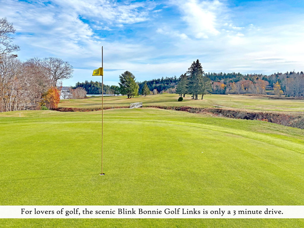 Blink Bonnie Golf Links (2), label