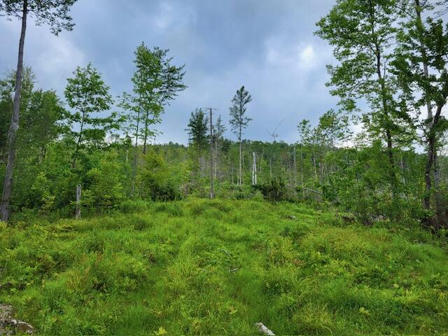 Lot 7 Brown Road Oakfield