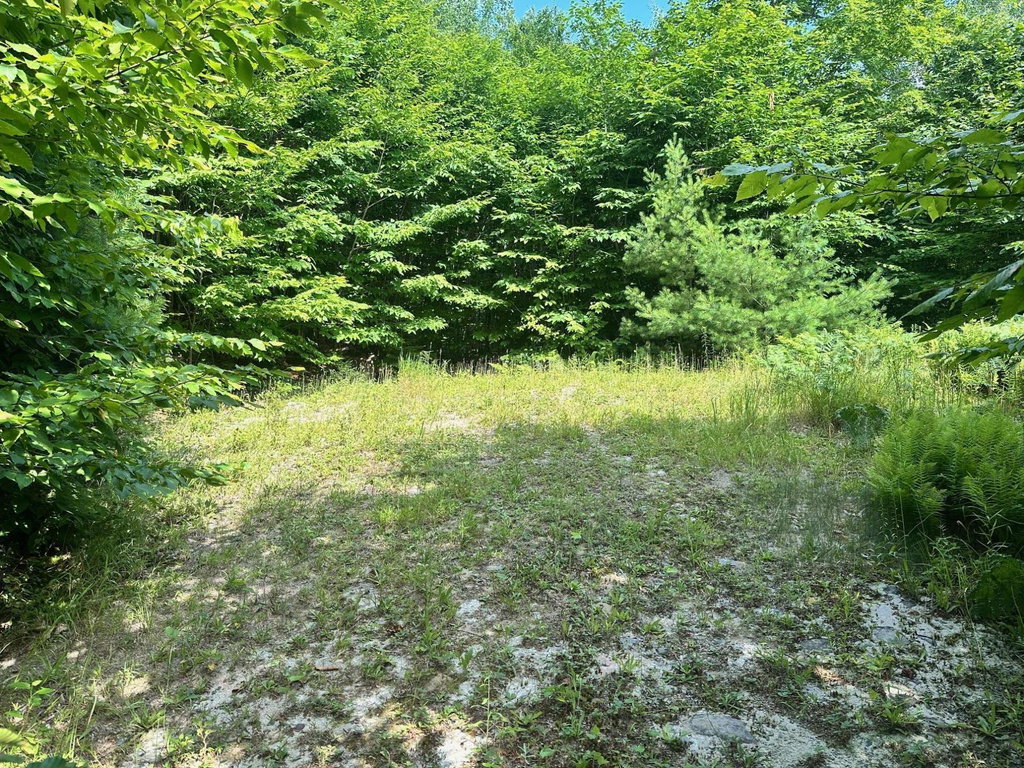 Lot 12 Hillside Drive Kingfield