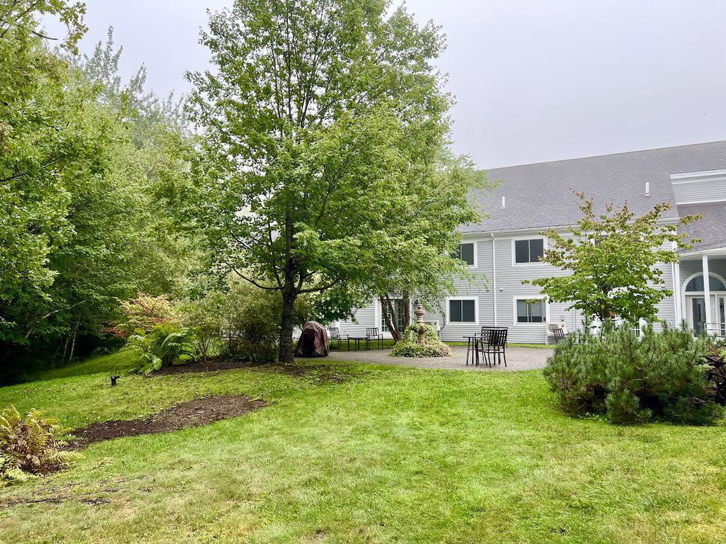 Lawn On The Back Side Of The Condo