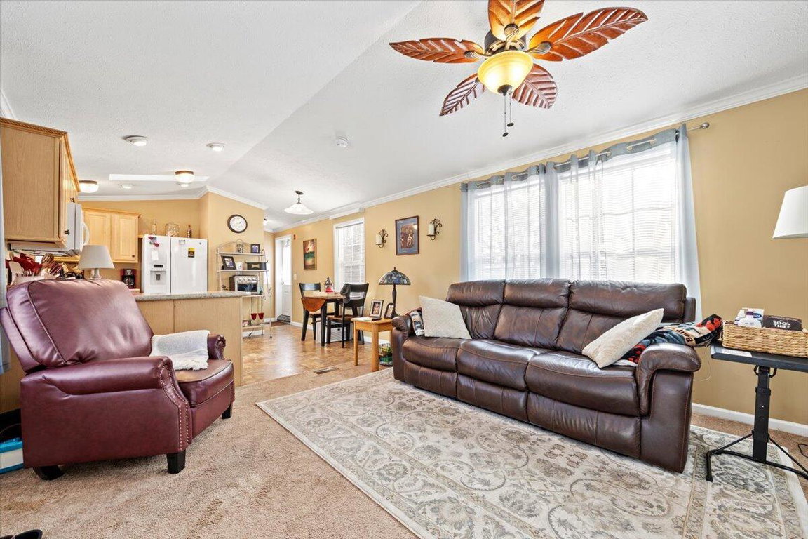 72 Golden Era Circle Alfred