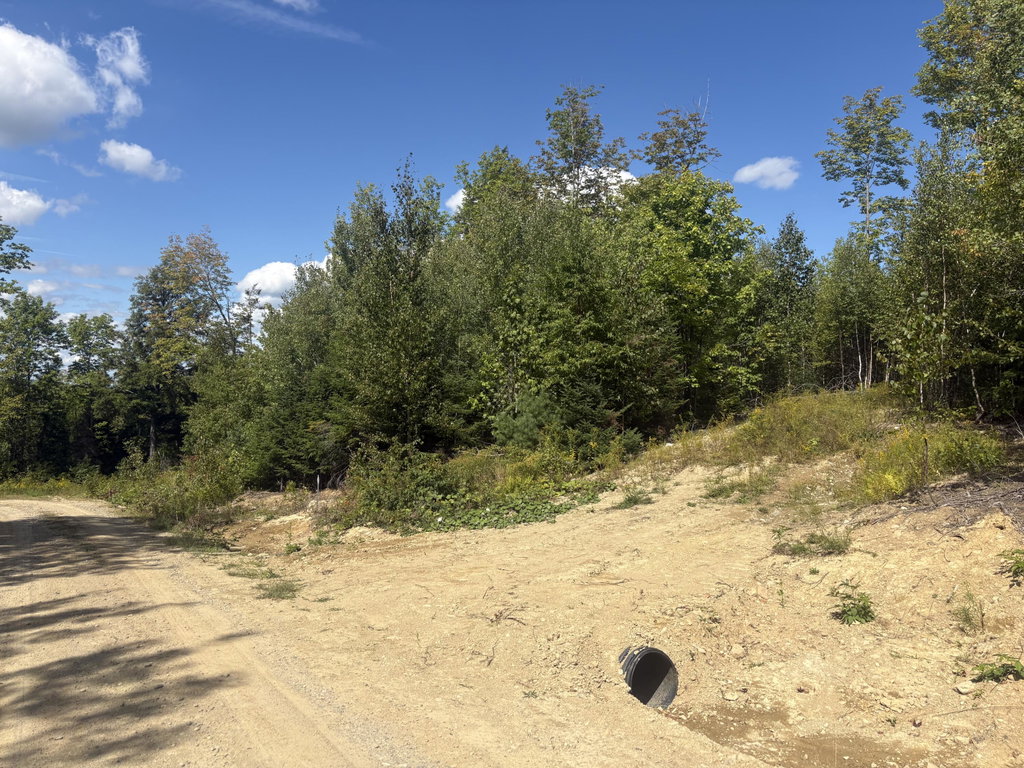 Lot 5 Mt. Jefferson Heights Lee