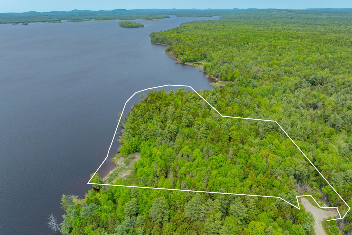 Survey aerial