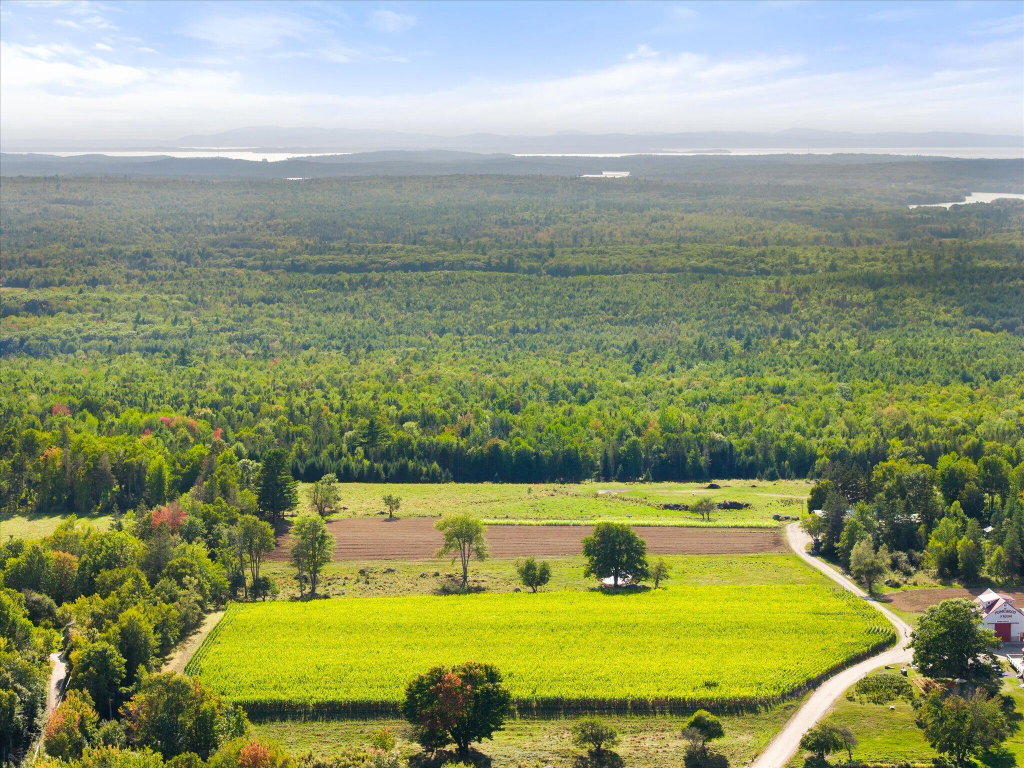 Fields & Forests