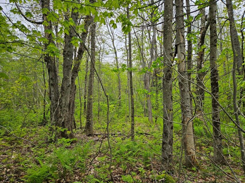 681 Mile Hill Road New Sharon