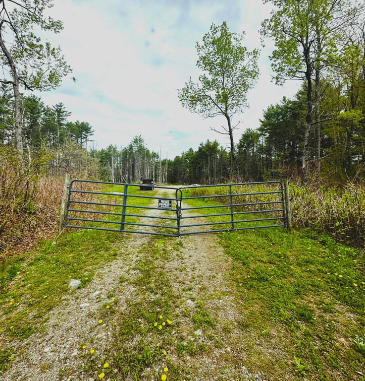 Lot 11 11A &11C Partridge Road Hampden