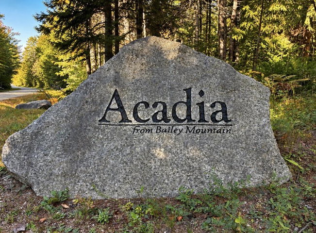Welcome to Acadia View!