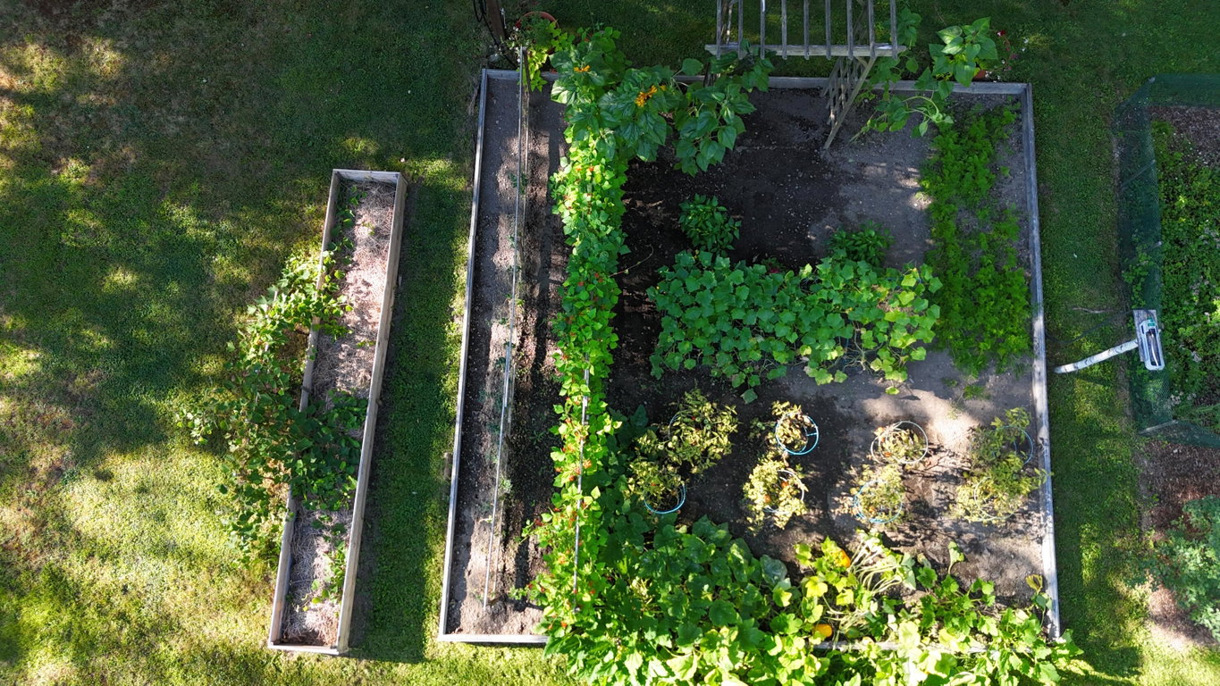 garden 2