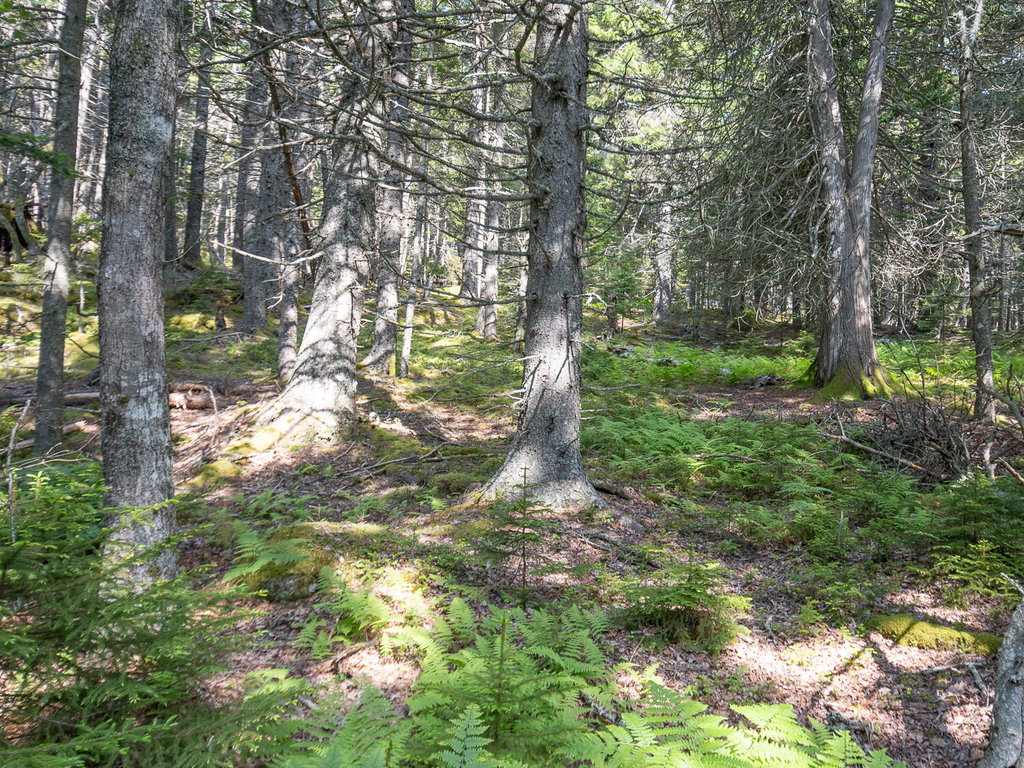Island Retreat Lot 10