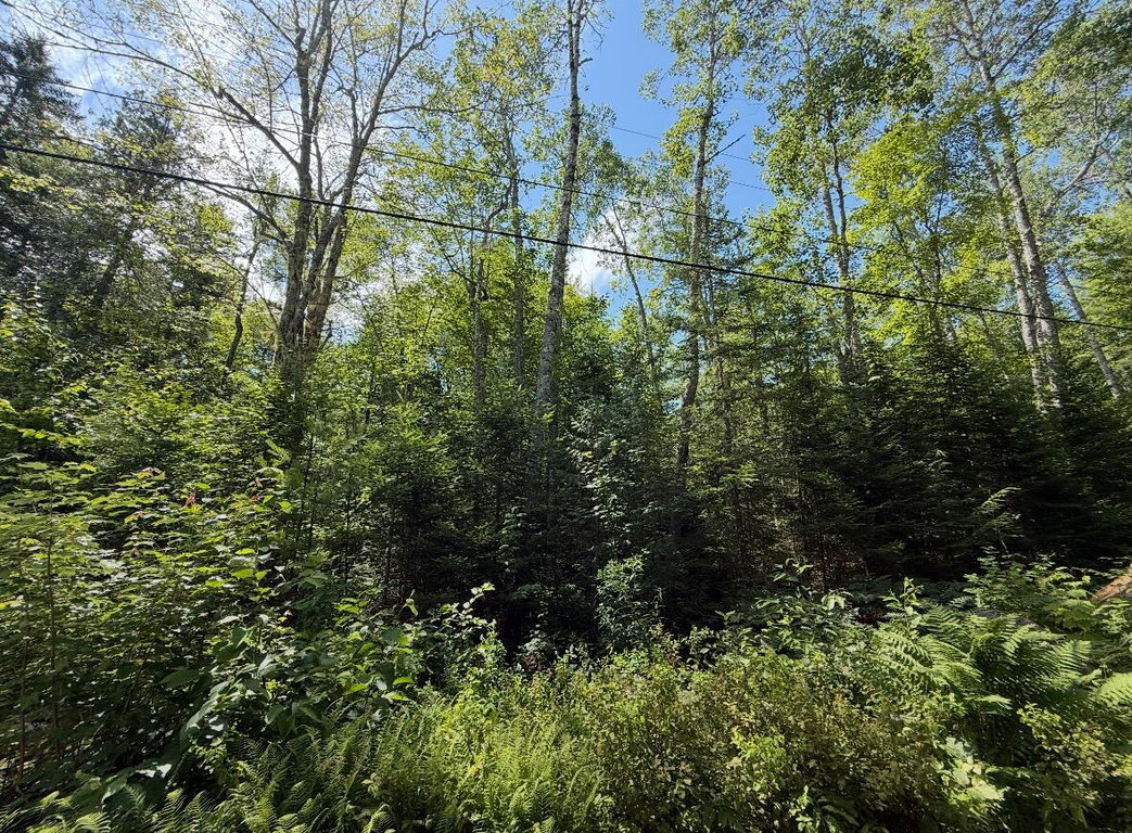 Lot 23 Webb Pond Rd