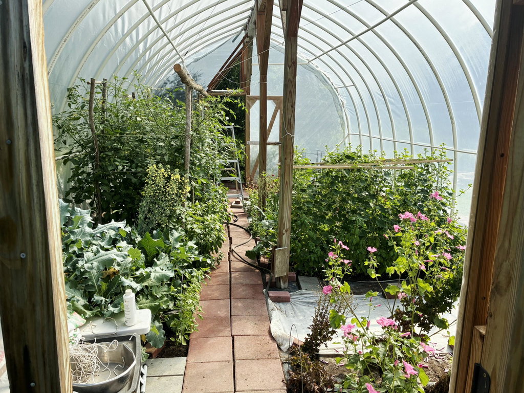 1 of 2 Greenhouses
