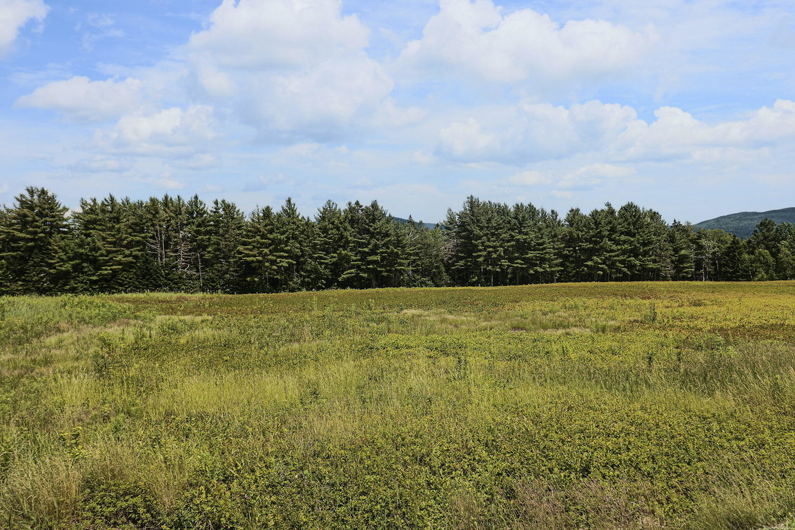 Lot 1