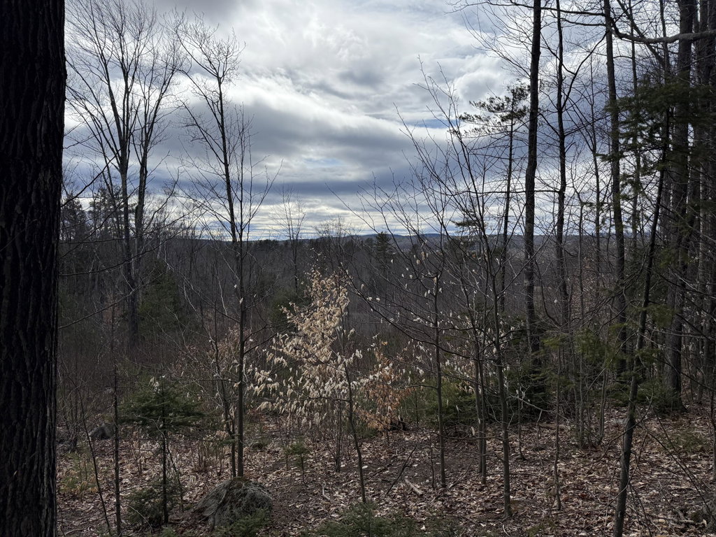Lot #3 Moose Hill Road Livermore Falls