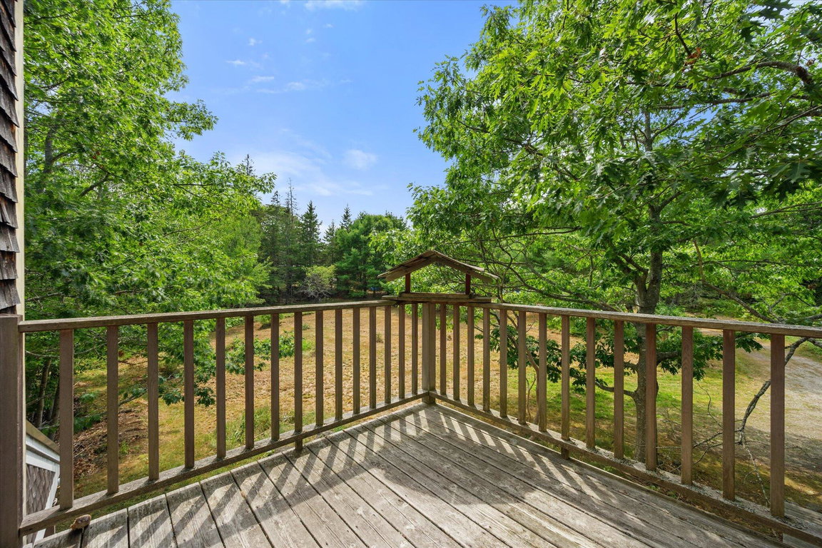 View from Deck
