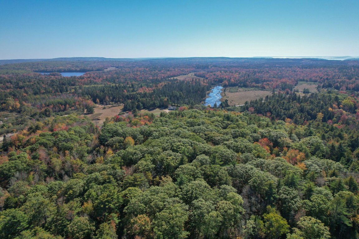 DJI_0218