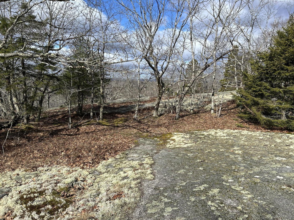 Map8Lot6 CMP  Prospect
