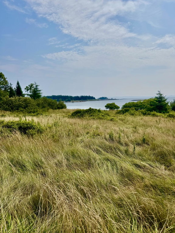 Lot #5 George Wright Road Vinalhaven