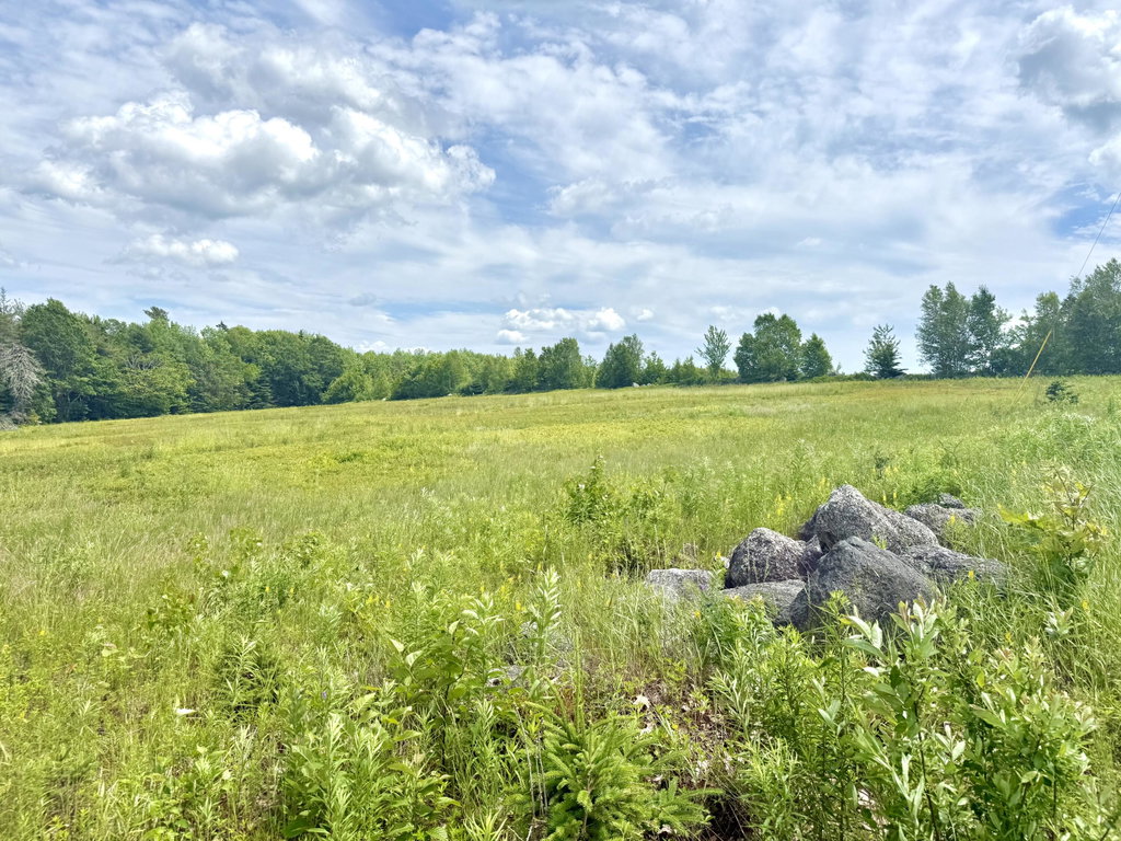 Lot 9