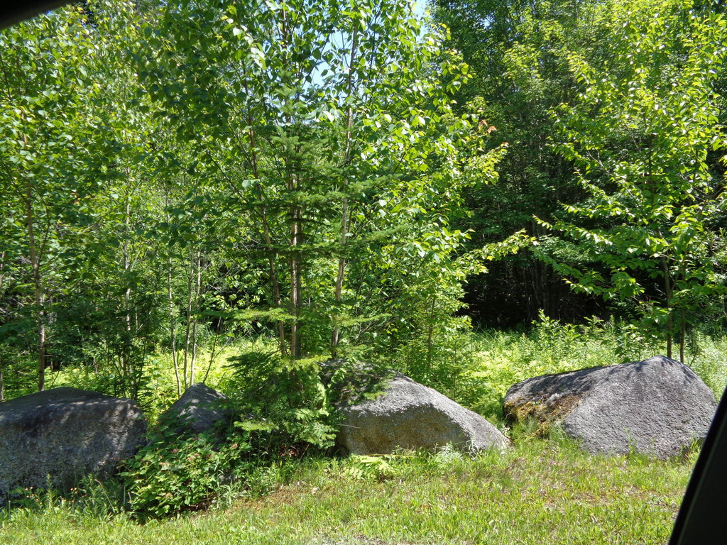 Wooded