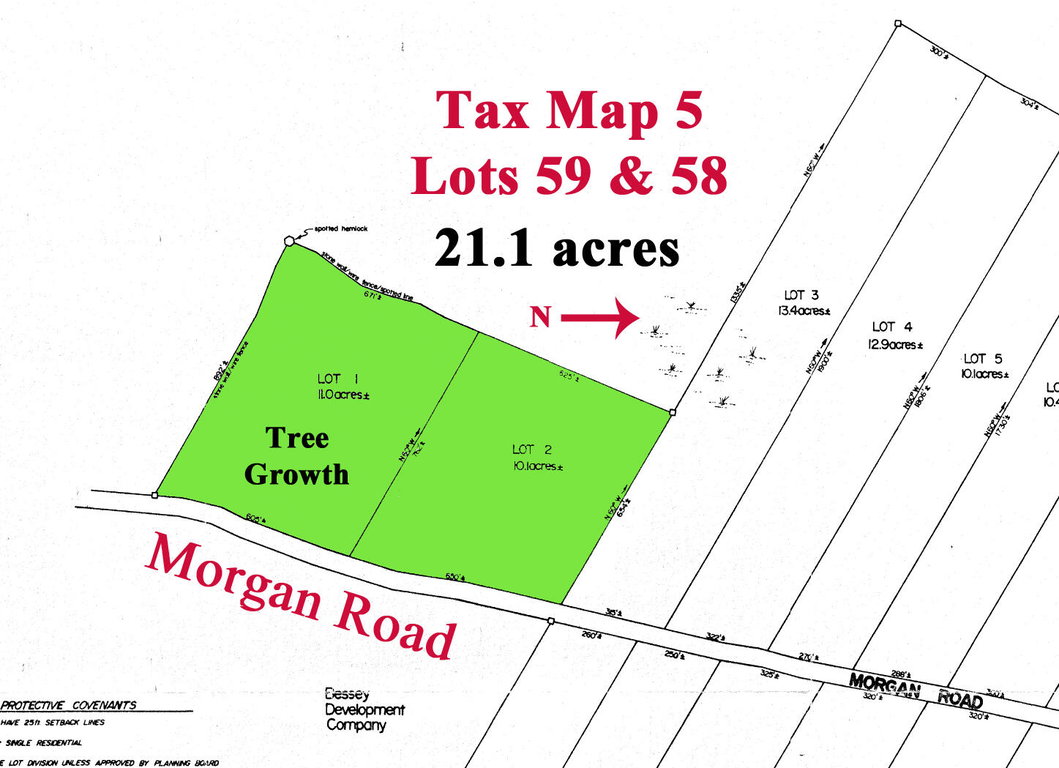 Lots 1 & 2 Morgan Road Burnham