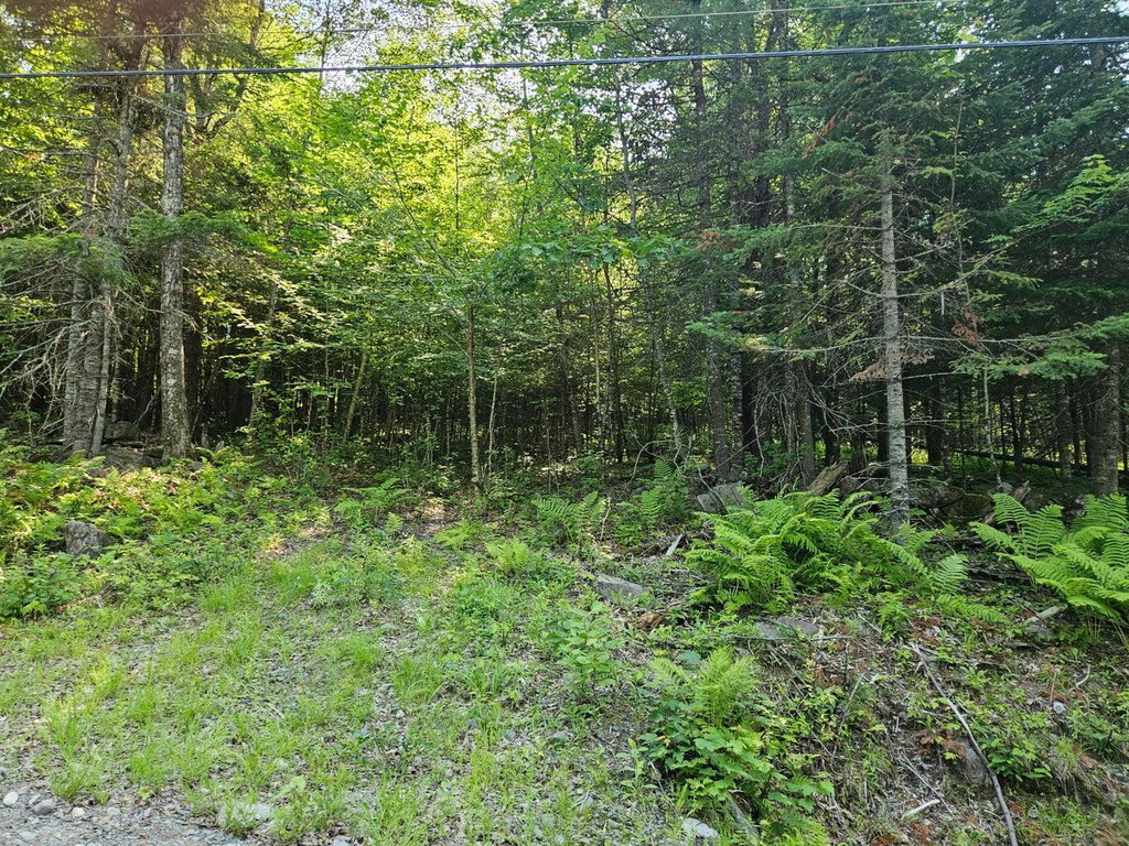 Lot 2-C Rips Road Brownville