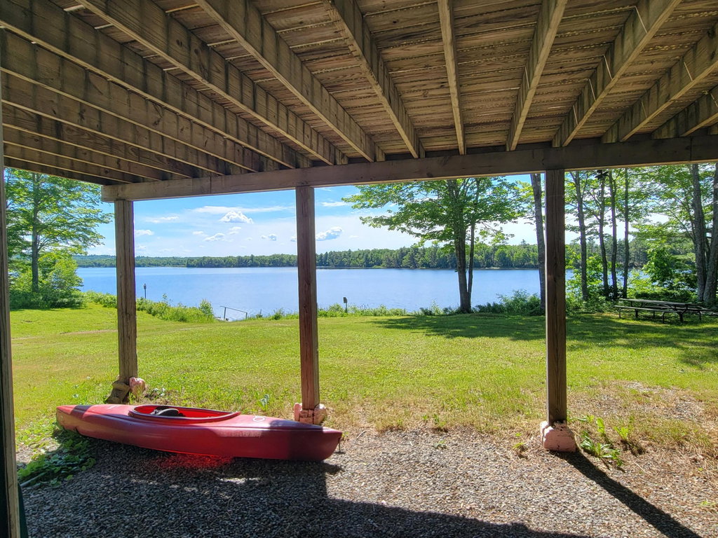 View From Basement