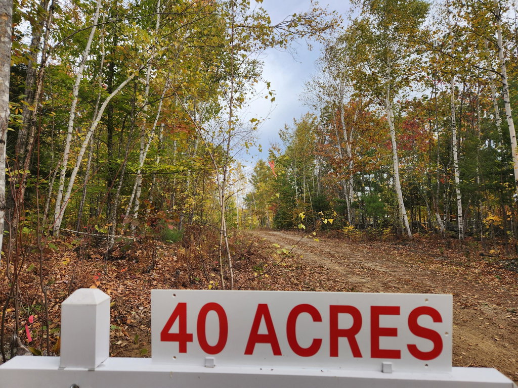Lot C Fern Drive Buckfield
