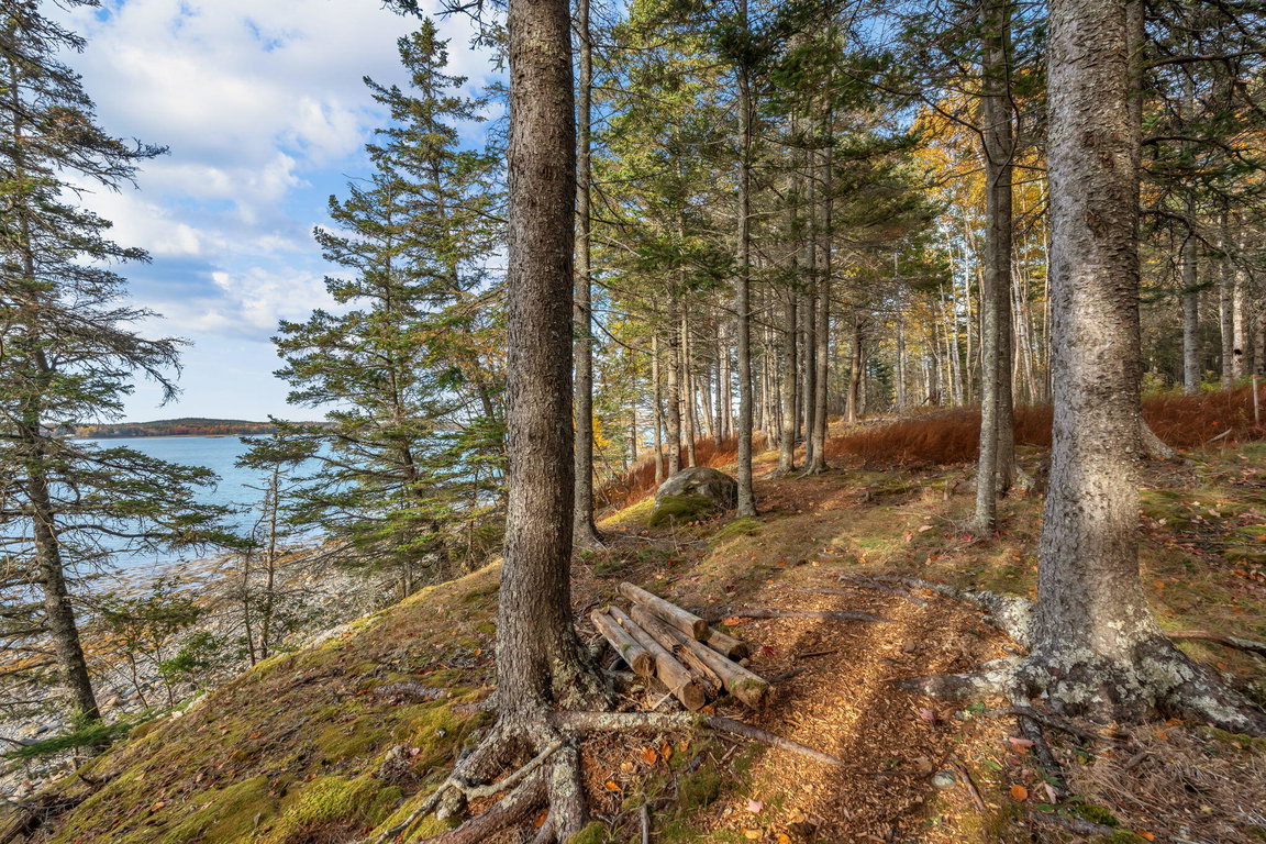 9-web-or-mls-495-north-deer-isle-land