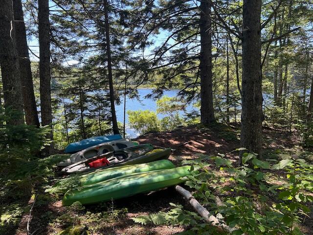 Canoe and kayaks