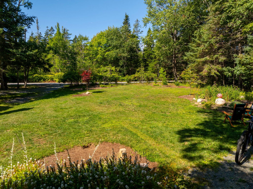 Lawn and landscaping
