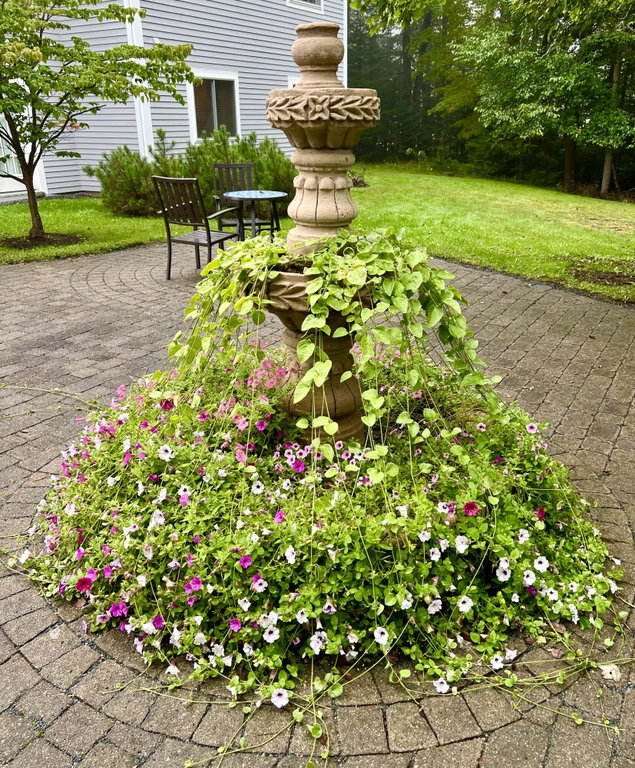 Common Patio Area