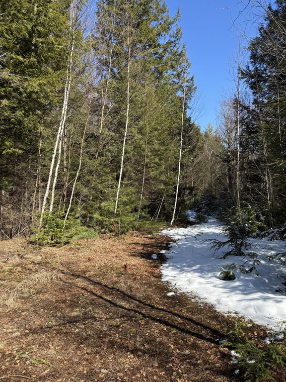 4 Bog Brook Loop West Paris