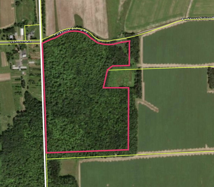 Lot 12 Off Conant (end of Johnson Rd) Road Fort Fairfield