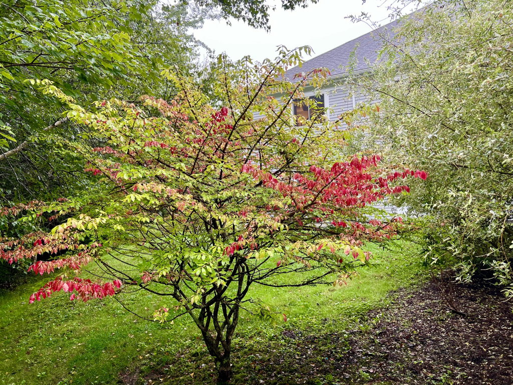 Grounds